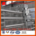 Poultry Equipment Automatic Chicken Cage